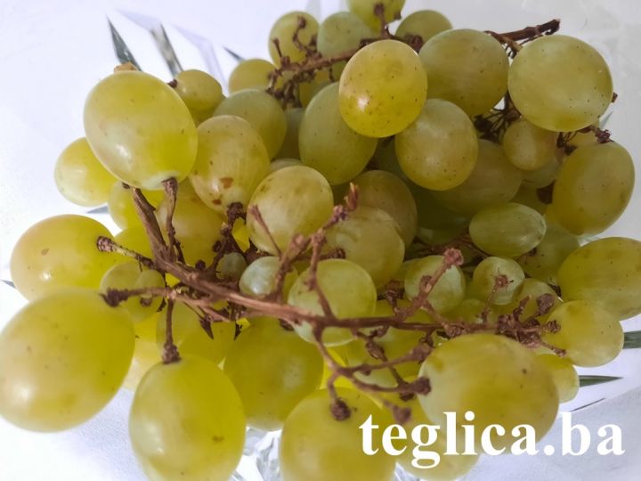 grozdje-teglica-2022-foto-1.jpg