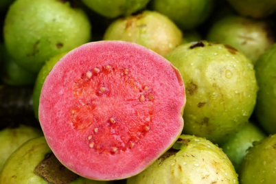 guava-foto-1.png