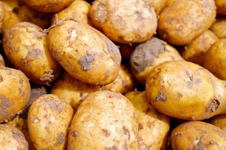 krompir-foto-3.jpg