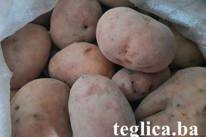krompir-teglica-2022-foto-1.jpg