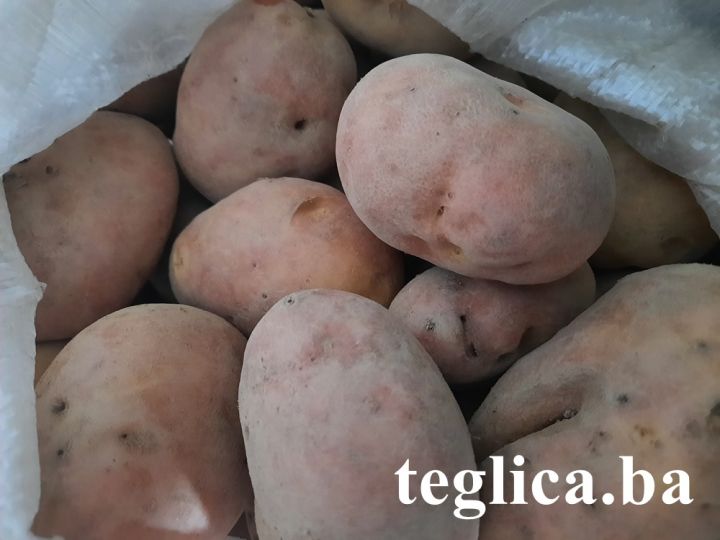 krompir-teglica-2022-foto-1.jpg