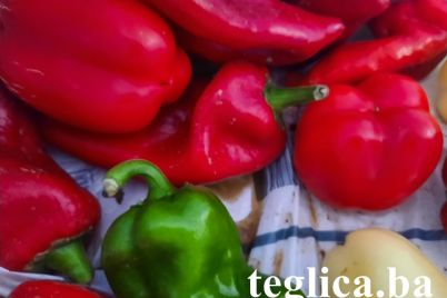 paprike-crvene-zelena-paprika-teglica-2022-foto-1.jpg