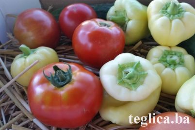 paprike-paradajz-foto-2.jpg