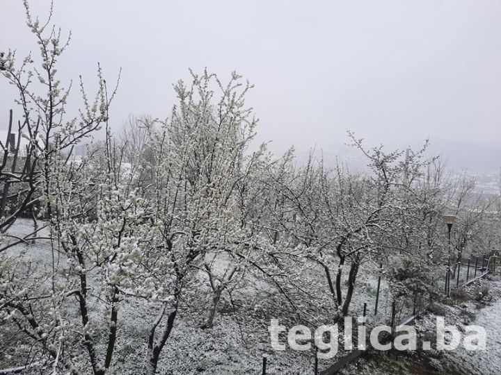 snijeg-april-2023-vocke-behar.jpg