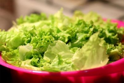zelena-salata-1.jpg